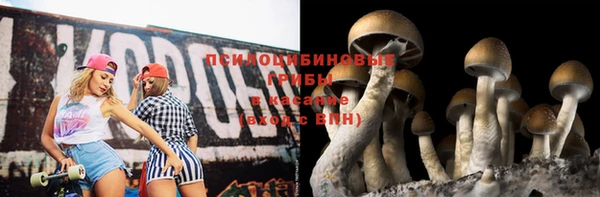 mdma Ивангород