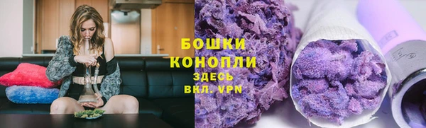 прущая мука Бикин