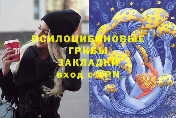 спиды Заполярный