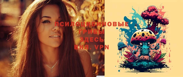 2c-b Нязепетровск