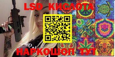 индика Бийск