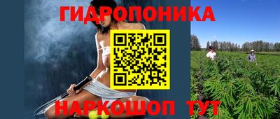 индика Бийск