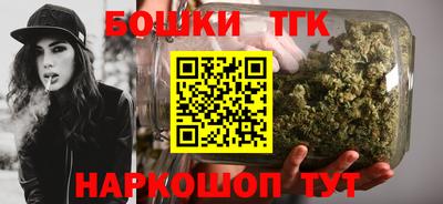 индика Бийск