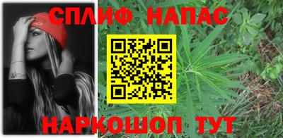 индика Бийск
