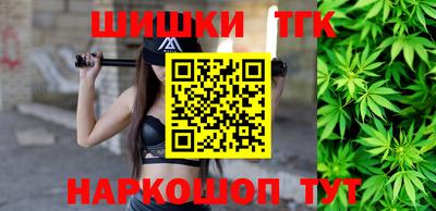 индика Бийск