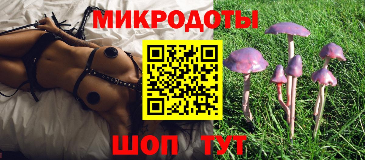 купить наркоту  Вход с VPN  Кингисепп  Псилоцибиновые грибы MAGIC MUSHROOMS 