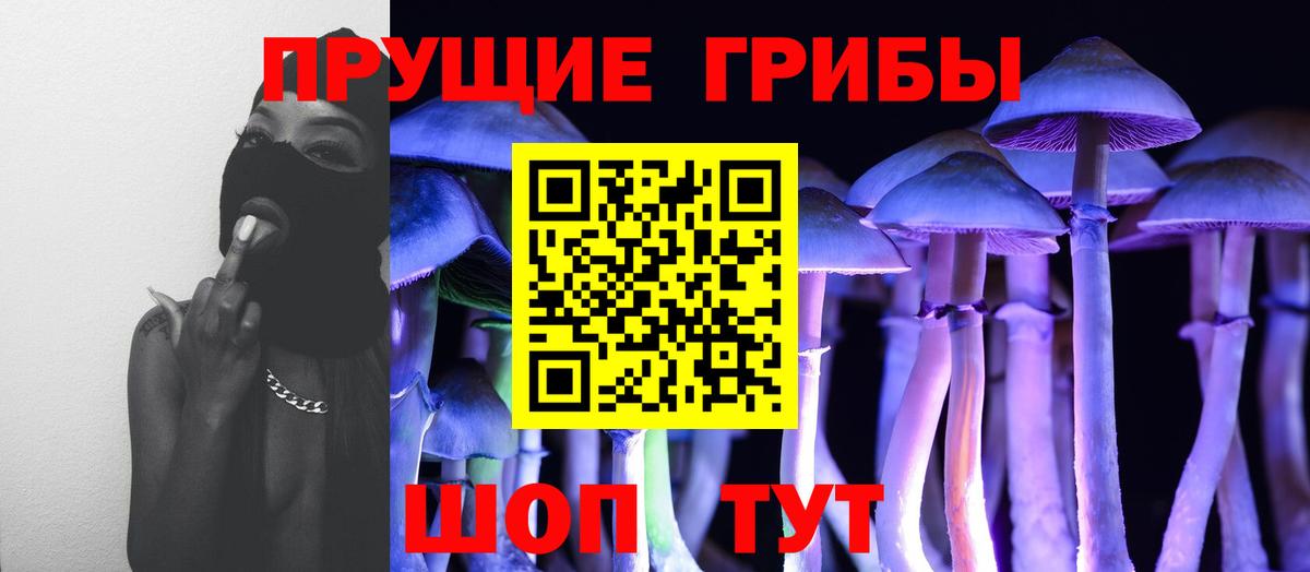 Галлюциногенные грибы MAGIC MUSHROOMS Кингисепп
